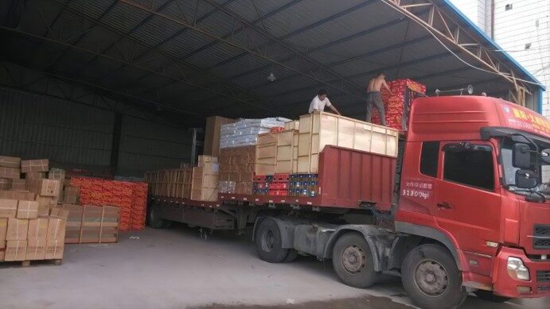 副食品批发:如何在竞争激烈的市场中脱颖而出